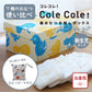 【失敗しない出産祝】ColeCole!紙おむつお試しボックス The gift　新生児サイズ