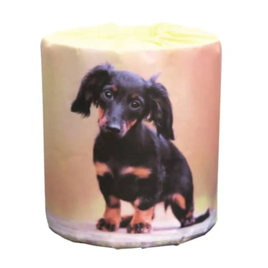 犬 ミニチュアダックスフンド 個包装 ダブル 30m 1ロール×100個